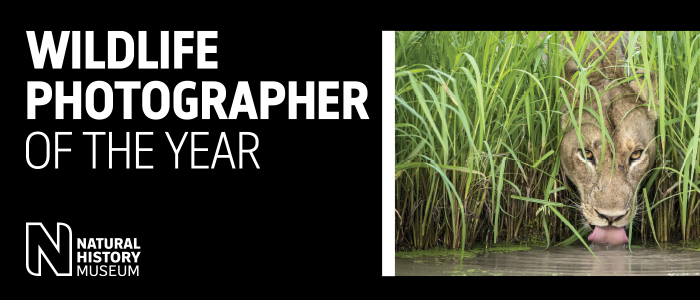 Wildlife Photographer of the Year exhibition