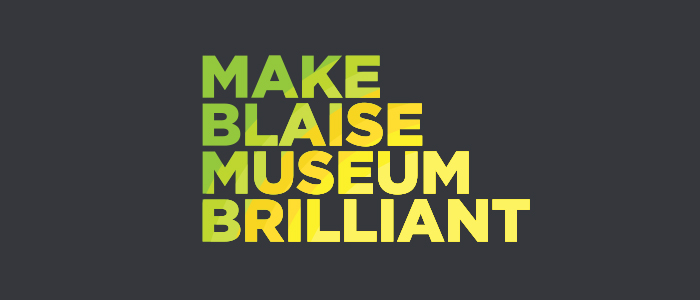 Make Blaise Brilliant